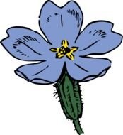 Flower darwing