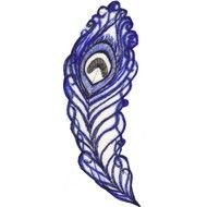 Peacock Feather Art drawing