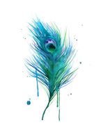 Watercolor Peacock Feather Tattoo N2