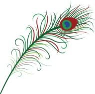 Peacock Feathers N2