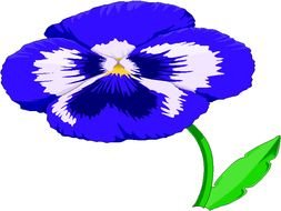 Pansy Clip Art drawing