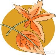Fall Leaves Clip Art Transparent Background N2