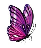 Beautiful drawing of the colorful butterfly clipart