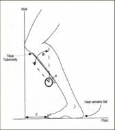 Normal Ankle Dorsiflexion Range Of Motion