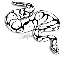 Ball Python Tattoo Designs