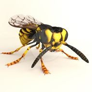 Hornet Clip Art N16