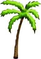 Palm Tree Clip Art N81
