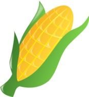 Corn Stalk Clip Art N14