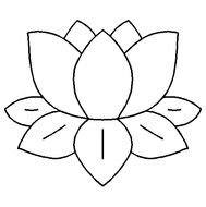 Lily Pad Template N2