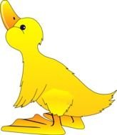 Yellow cartoon duck clipart