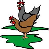two Chickens drawing
