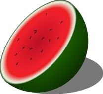 Watermelon Clip Art F drawing