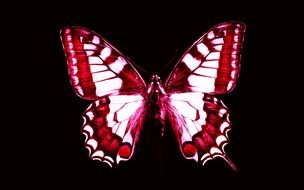 painted red-white butterfly on a black background