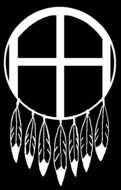 legendary shield on a black background