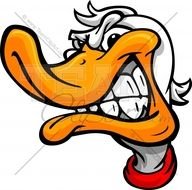Mallard Duck Cartoon