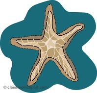 Starfish Clip Art N23