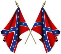 Confederate Flag N5