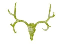 Deer Skull Clip Art Graphics drawing