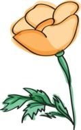 Colorful drawing of the orange flower with the green leaves clipart