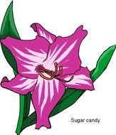 Clip art of purple flower plant