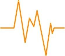 Fitness heart ECG on a white background