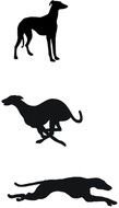 silhouettes of dogs in different poses on a white background