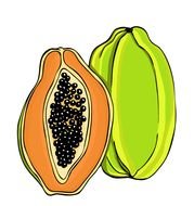 Papaya Clip Art N3