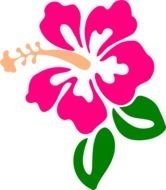 Hibiscus Flower Clip Art N22