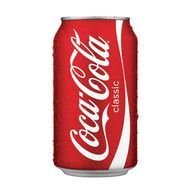 isolated can of Coca Cola