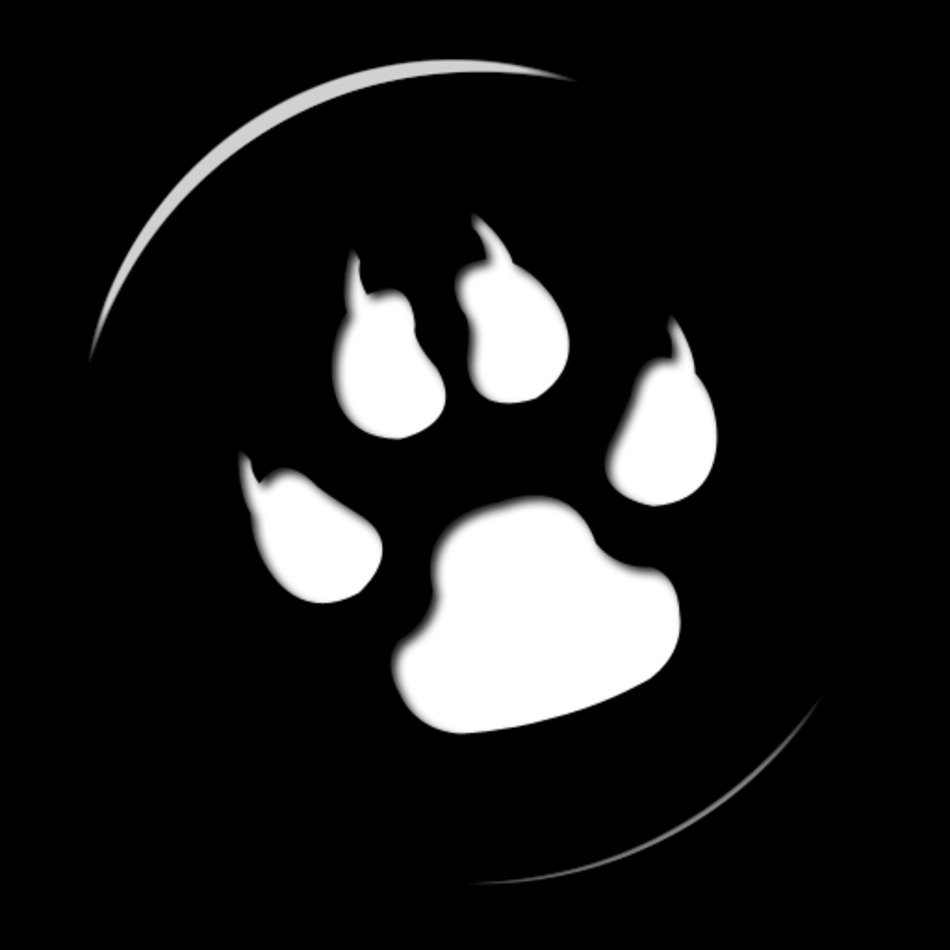 Dog Paw Print Outline N5