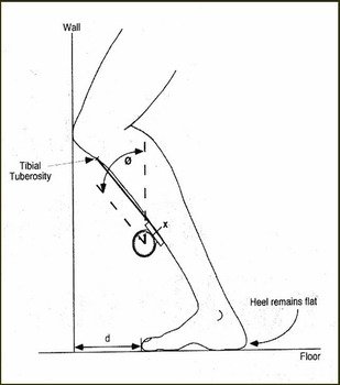 Normal Ankle Dorsiflexion Range Of Motion