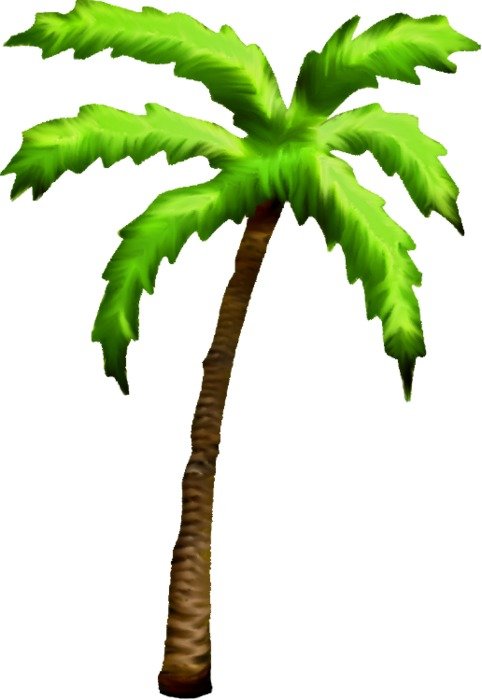Palm Tree Clip Art N81