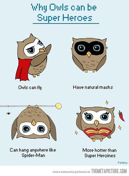 Funny Owl