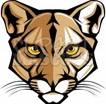 High School Cougar Mascot