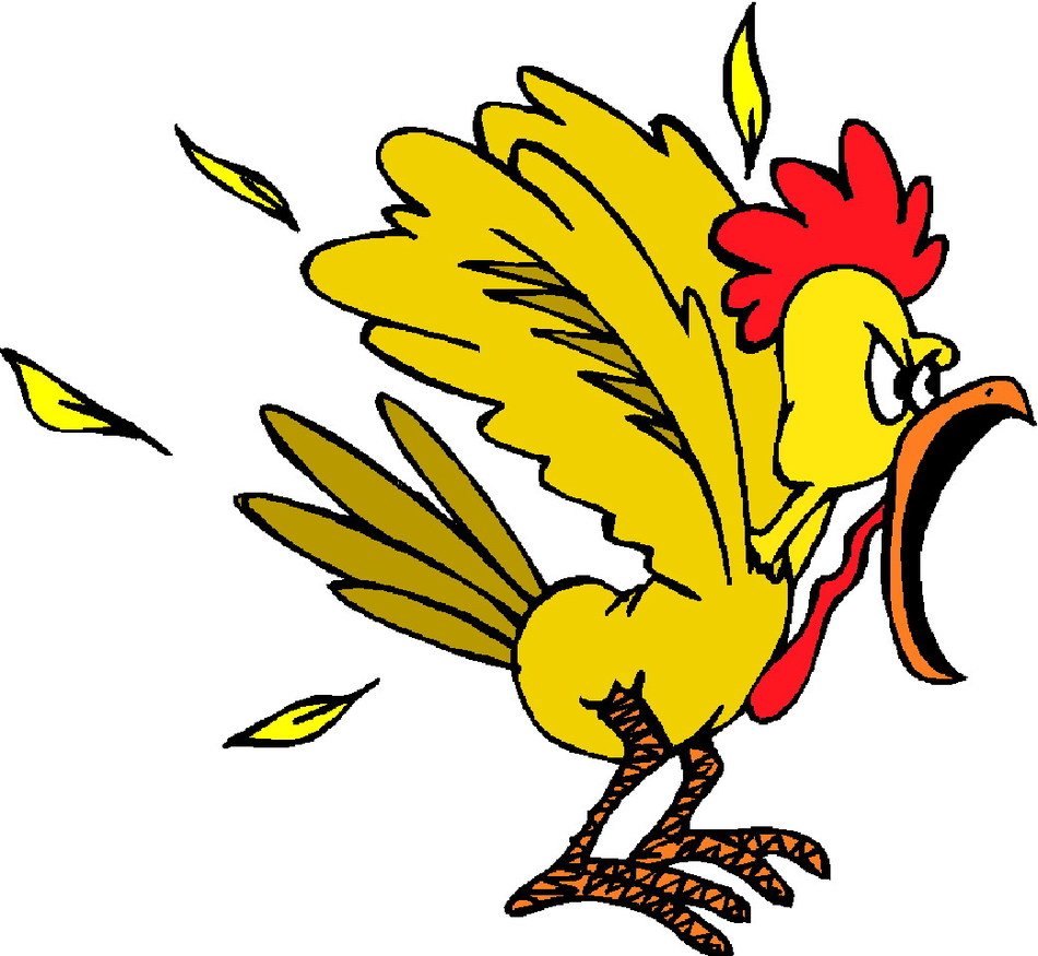 angry roosteer, drawing