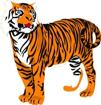 Tiger Clip Art N35
