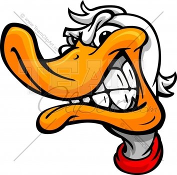 Mallard Duck Cartoon