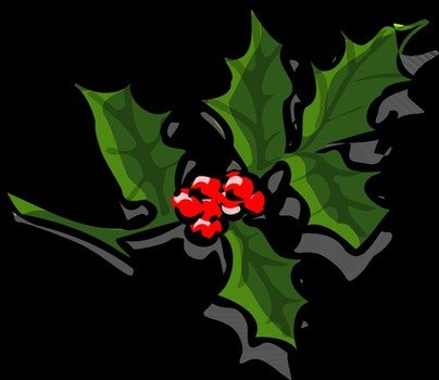 Holly 2 By TheresaKnott Branch