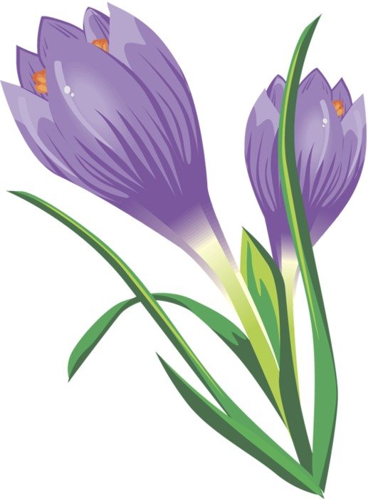 Free Crocus Clip Art N2