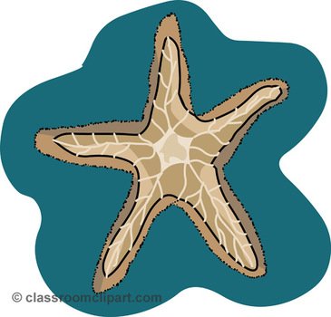 Starfish Clip Art N23