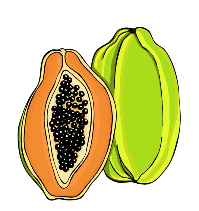 Papaya Clip Art N3