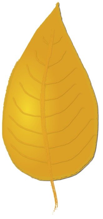 drawing of yellow Leaf