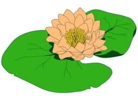 clipart of painted light beige water lily