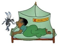 Mosquito Malaria In Africa Clip Art