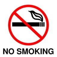 No Smoking Sign N20