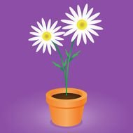 painted two white daisies in a flower pot