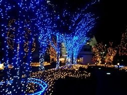 Blue Christmas Lights darwing