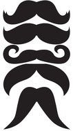 mustache of different types on a white background