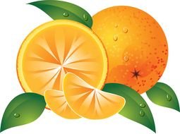 divide in half Orange Clip Art