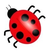 Clip Art Bugs Insects